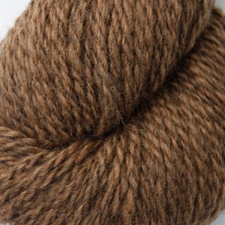 2102 lys brun