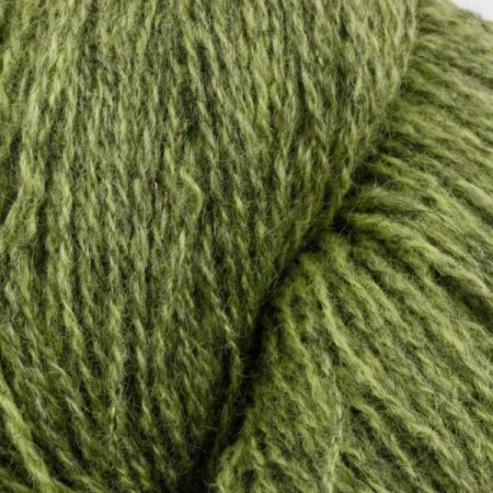 2107 lime