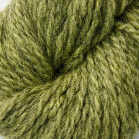 2107 lime